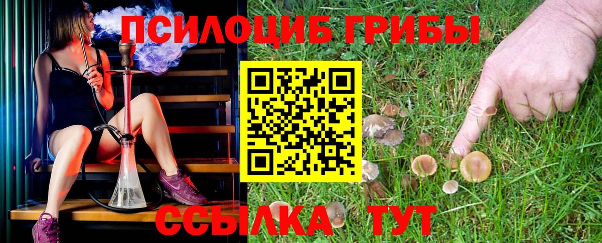 Псилоцибиновые грибы мухоморы Зерноград
